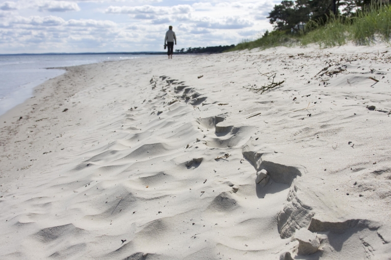 Plage près de Göteborg