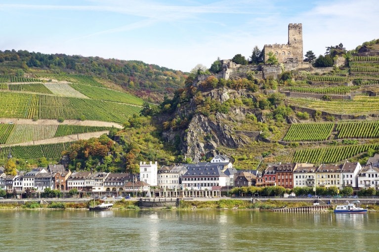 Vue sur la vallée du Rhin en Allemagne